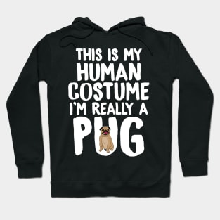 This is my human costume I'm really a pug Hoodie